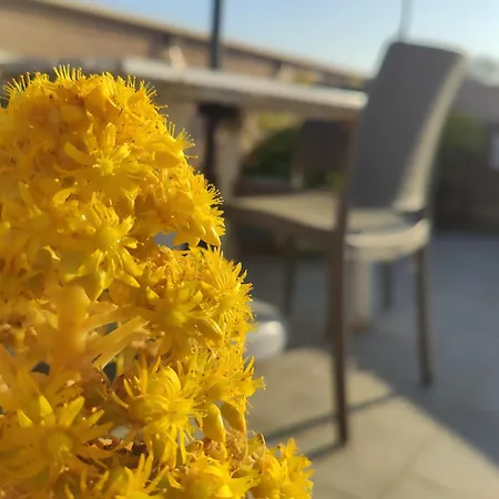 Dolcevita アパート *