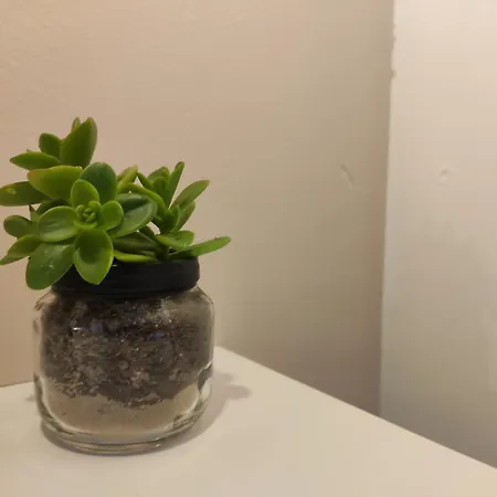 Apartment Dolcevita