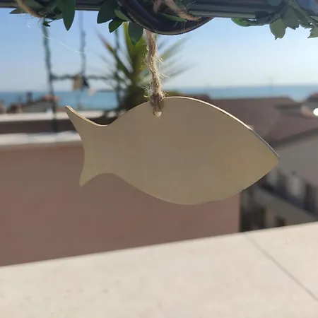 Dolcevita *